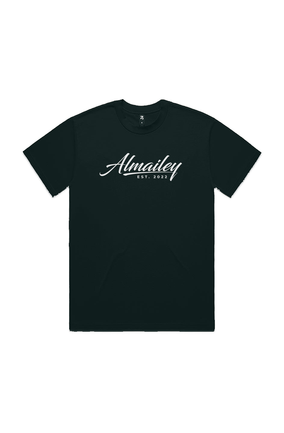 HEAVY TEE " STAY PATIENT"